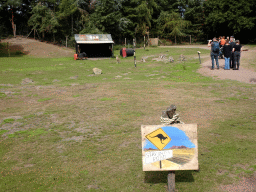 Bennett`s Wallabies at the Outback area at ZooParc Overloon