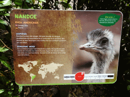 Explanation on the Nandu at the Amazone area at ZooParc Overloon