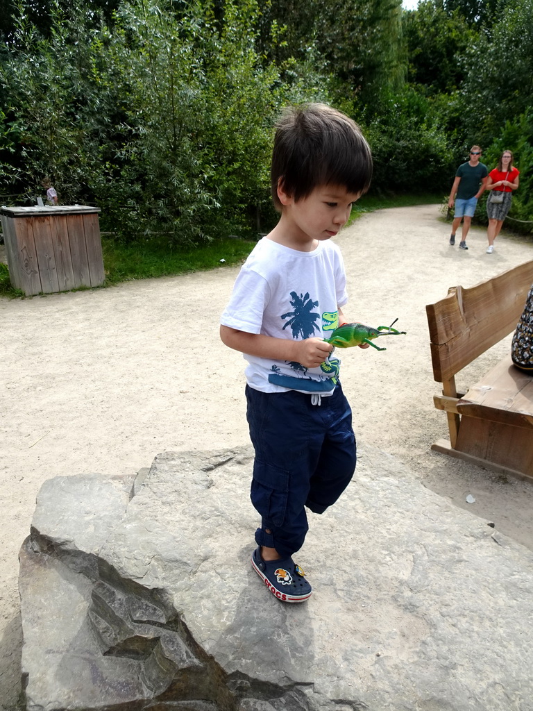 Max with a bug toy at the Jangalee area at ZooParc Overloon