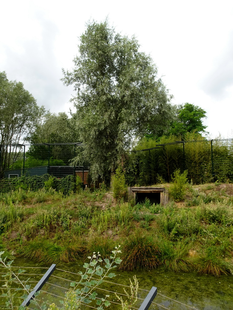 White Tiger enclosure at the Jangalee area at ZooParc Overloon