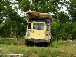 Lions and jeep at the Ngorongoro area at ZooParc Overloon