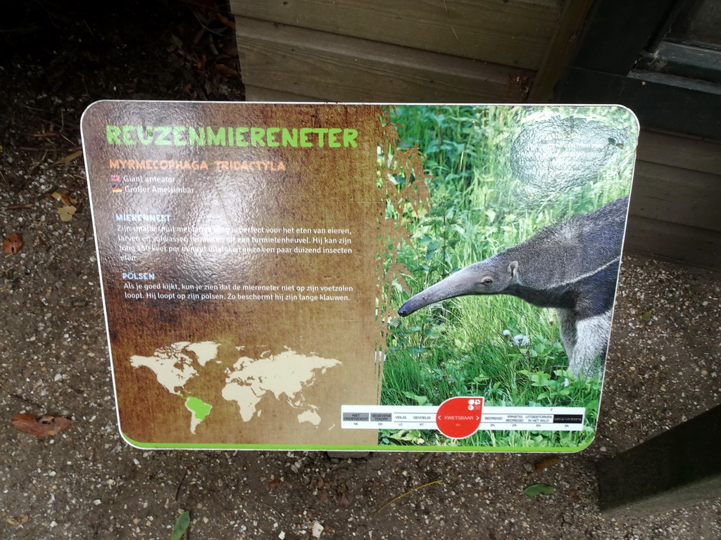 Explanation on the Giant Anteater at the Forest area at ZooParc Overloon