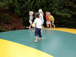 Max on the trampoline at the Headquarter area at ZooParc Overloon