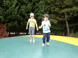 Max on the trampoline at the Headquarter area at ZooParc Overloon