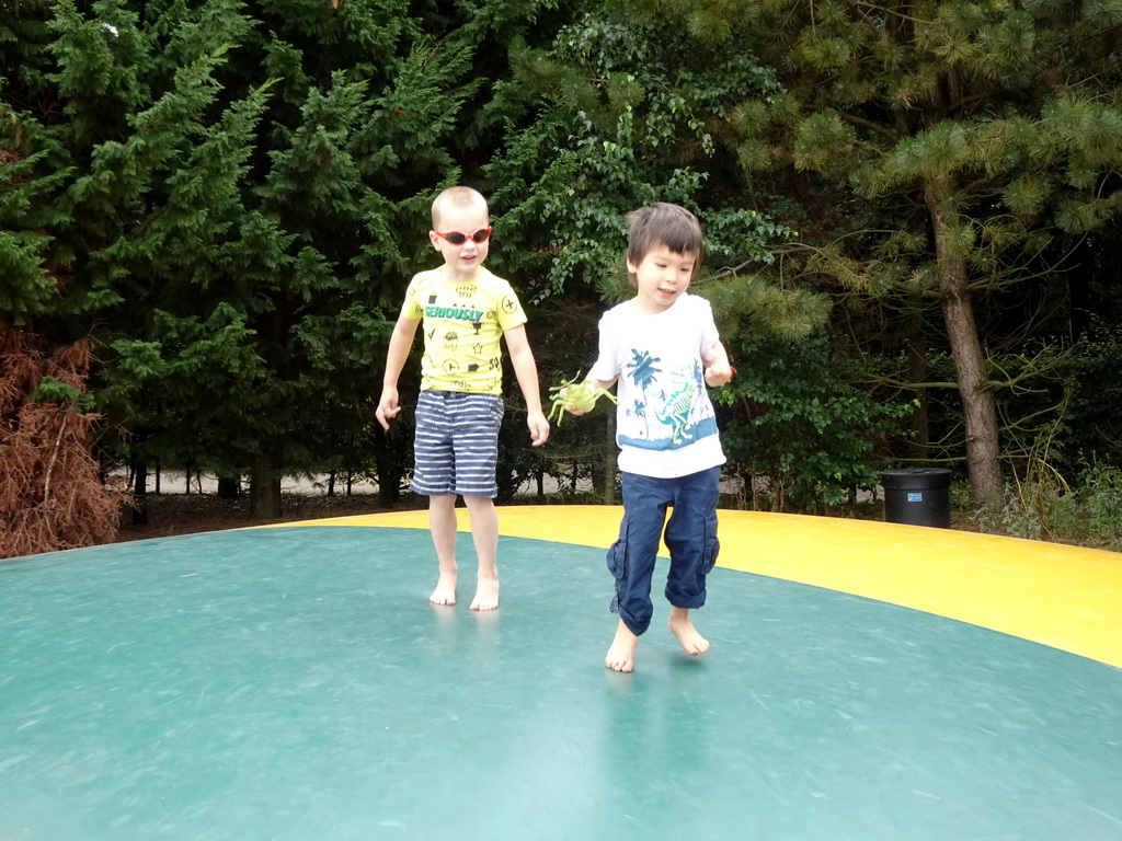 Max on the trampoline at the Headquarter area at ZooParc Overloon