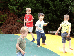 Max on the trampoline at the Headquarter area at ZooParc Overloon