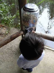 Max getting food for the Ducks and Common Carps at the Ngorongoro area at ZooParc Overloon