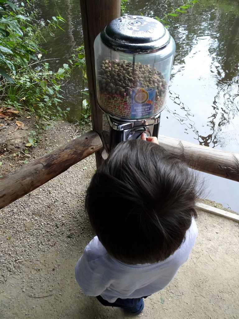 Max getting food for the Ducks and Common Carps at the Ngorongoro area at ZooParc Overloon