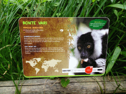 Explanation on the Black-and-white Ruffed Lemur at the Ngorongoro area at ZooParc Overloon