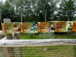 Explanation on the Kirk`s Dik-dik, the Grey Crowned Crane, the Palm-nut Vulture and the Hooded Vulture at the Aviary at the Ngorongoro area at ZooParc Overloon