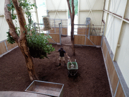 Zookeeper cleaning the Reticulated Giraffe building at the Ngorongoro area at ZooParc Overloon