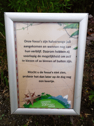 Information on the Fossas at the Madagascar area at ZooParc Overloon