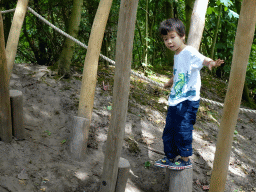 Max on stepping poles at the Madagascar area at ZooParc Overloon
