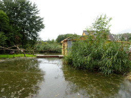 Wooden houses and pond at the Madagascar area at ZooParc Overloon