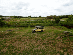 Lion enclosure at the Ngoronogoro area at ZooParc Overloon