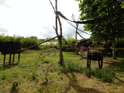 Asian Small-clawed Otter and Red Panda enclosure in front of the entrance to ZooParc Overloon