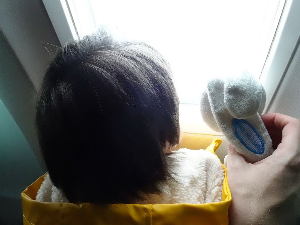 Max and his toy bunny looking through the window of the airplane from Rotterdam