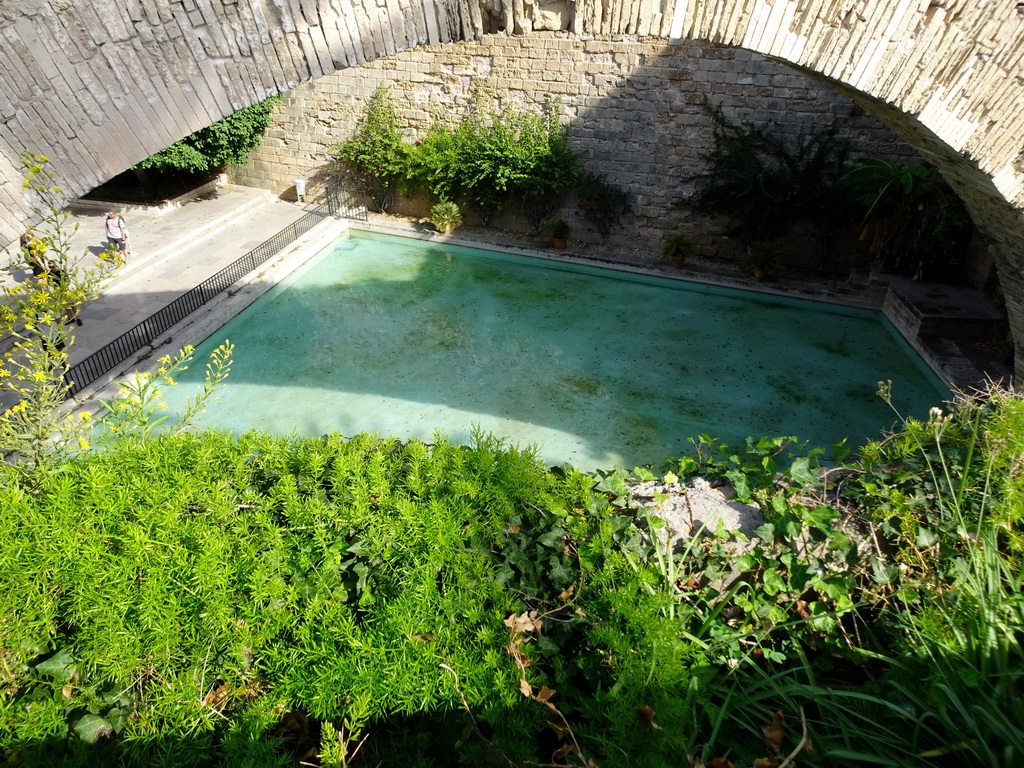 Pond at the southwest side of the Royal Palace of La Almudaina, viewed from the Passeig Dalt Murada street