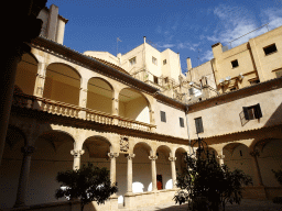 Inner garden of the Cloister of the Palma Cathedral