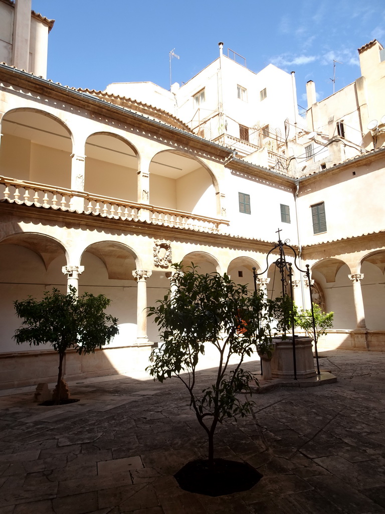 Inner garden of the Cloister of the Palma Cathedral