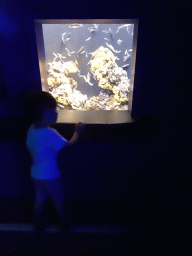 Max with fishes at the Mediterranean area at the Palma Aquarium