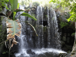 Waterfall at the Jungle area at the Palma Aquarium