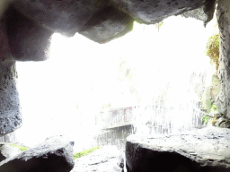 Waterfall at the Jungle area at the Palma Aquarium, viewed from behind