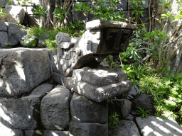 Statue at the Jungle area at the Palma Aquarium