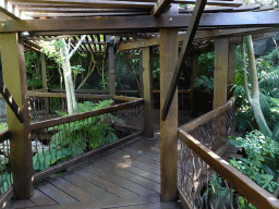 Walkway at the Jungle area at the Palma Aquarium