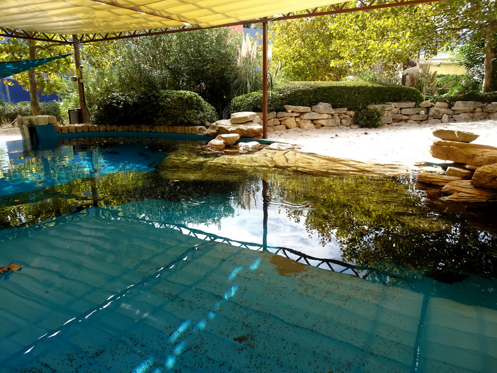 Hawksbill Turtle enclosure at the Mediterranean Gardens at the Palma Aquarium