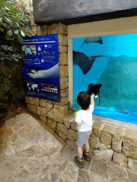 Max with Stingray and Jellyfish toys with Eagle Rays at the Mediterranean Gardens at the Palma Aquarium, with explanation