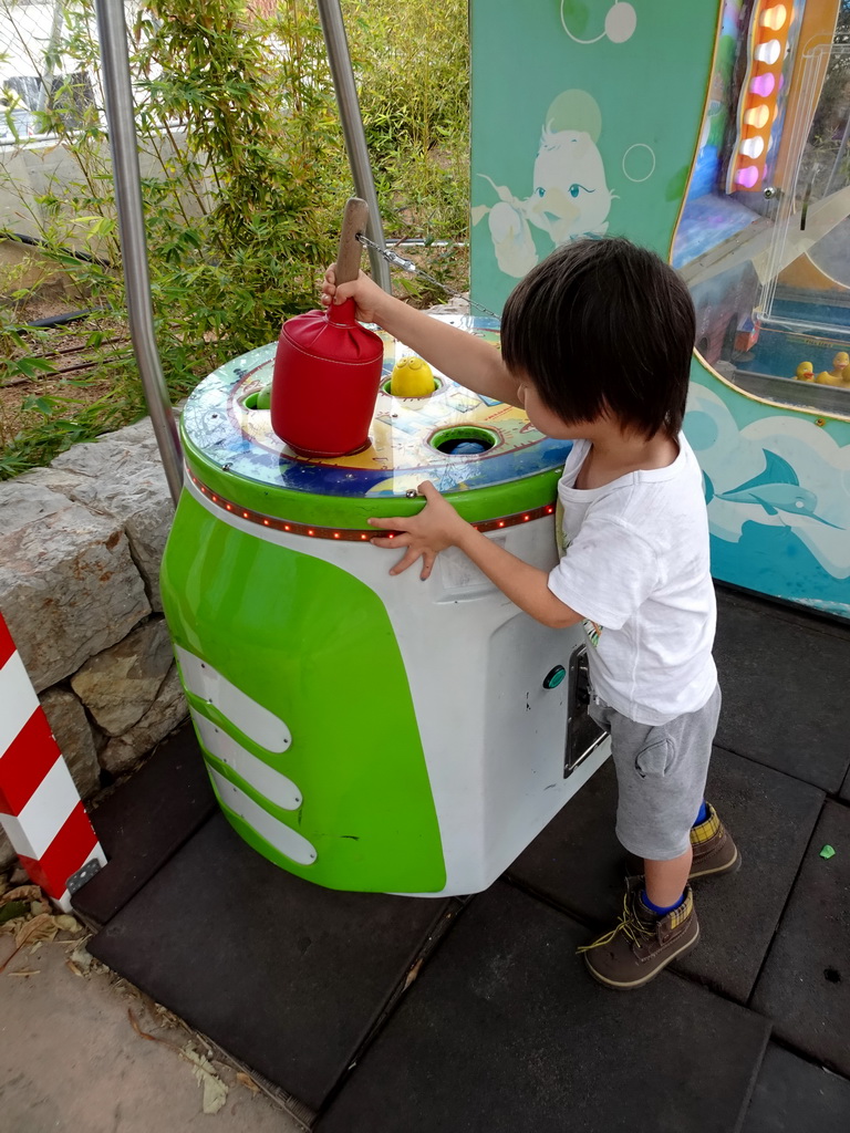 Max playing a game at the Play Area at the Palma Aquarium