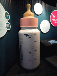 Information on Whale milk at the Gentle Giants of the Sea area at the Palma Aquarium