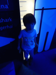 Max at the Big Blue area at the Palma Aquarium
