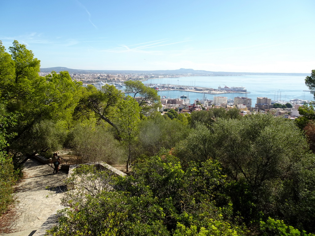 The Puerto de Palma harbour and the city center, viewed from the Carrer Castell de Bellver street