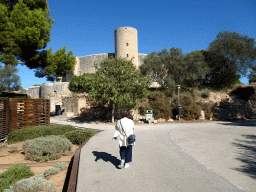 Miaomiao at the south side of the Castell de Bellver castle