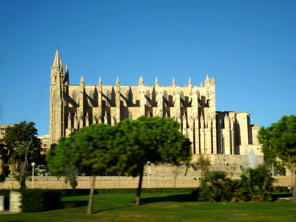 The Palma Cathedral, viewed from the rental car on the Avinguda de Gabriel Roca street