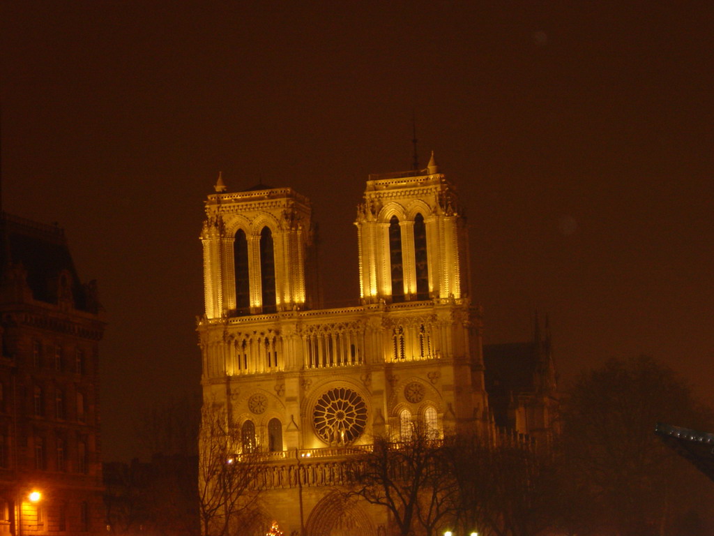 The Cathedral Notre Dame de Paris, by night