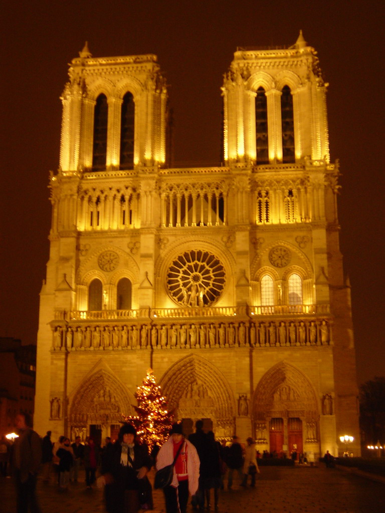 The Cathedral Notre Dame de Paris and the river Seine, by night