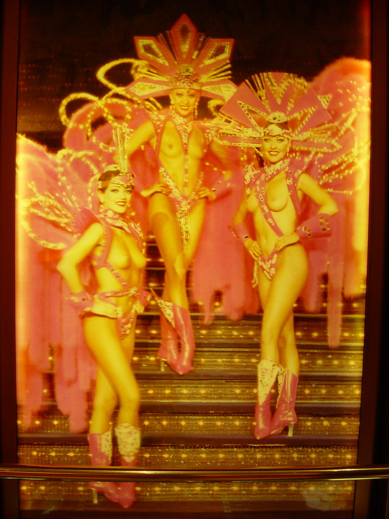 A photo near the entrance of the Moulin Rouge, by night