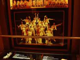 A photo near the entrance of the Moulin Rouge, by night