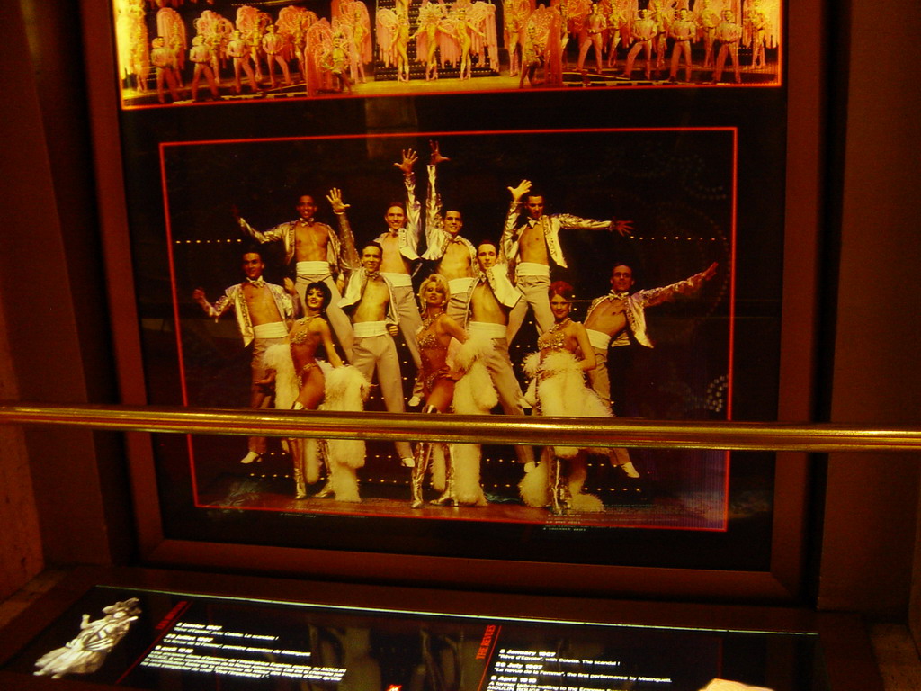 A photo near the entrance of the Moulin Rouge, by night