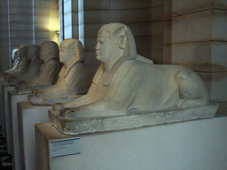 Processional Way of Sphinxes, in room 11 (Temple Forecourt Room) on the Ground Floor of the Sully Wing of the Louvre Museum