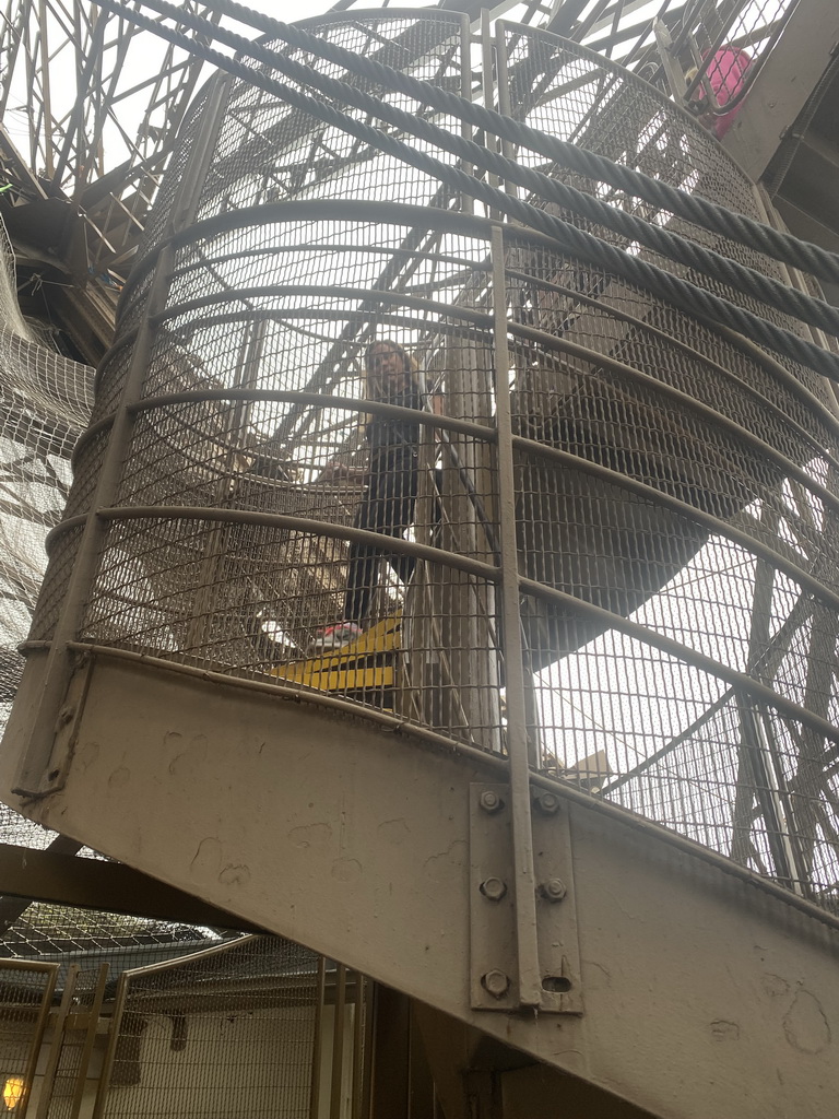 The staircase from the Second Floor to the Ground Floor of the Eiffel Tower, viewed from the Ground Floor