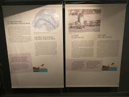 Information on `A Roman dock from the first port of Paris` and `The Seine and the Nautes` at the Archaeological Crypt of the Île de la Cité