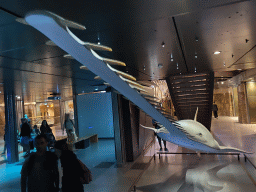 paris_3_408 - 263 kb - 1024x768 - Stuffed Sawfish at the ground floor of the Grande Galerie de l`Évolution museum Stuffed Sawfish at the ground floor of the Grande Galerie de l`Évolution museum