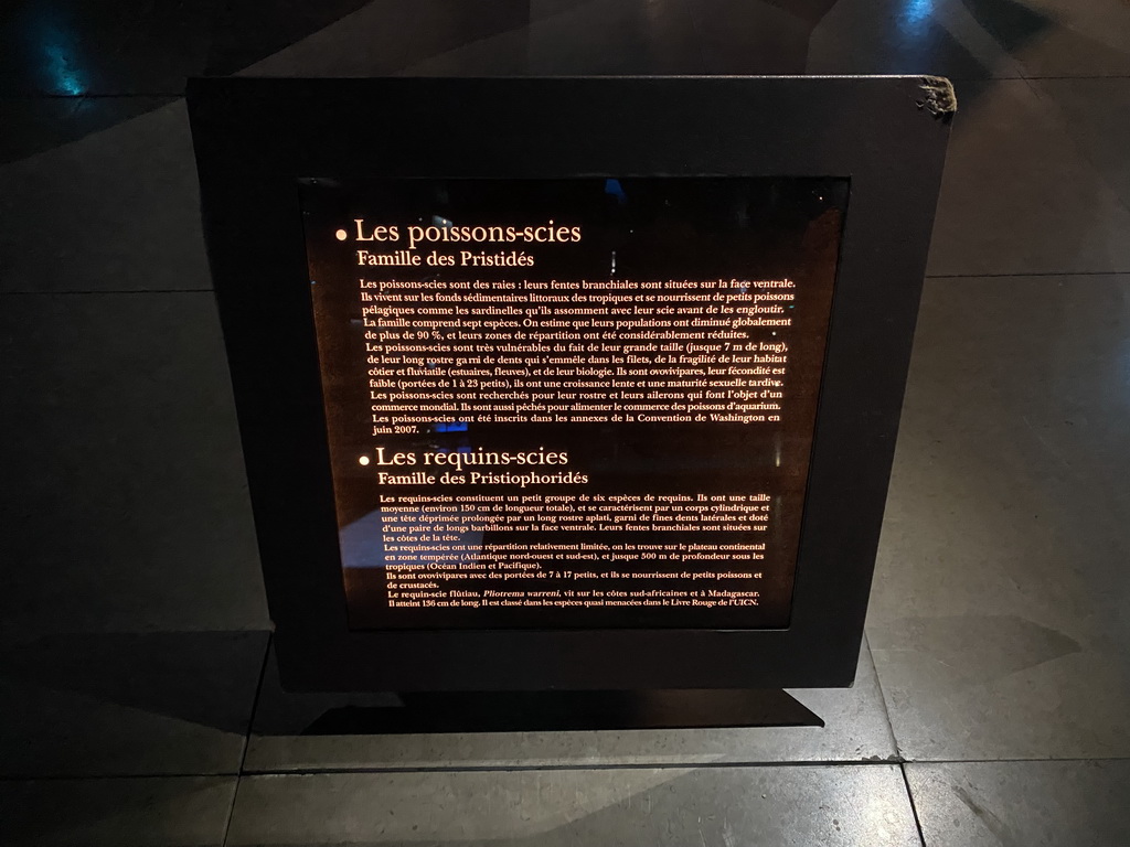 Information on the Sawfish and Sawshark at the ground floor of the Grande Galerie de l`Évolution museum