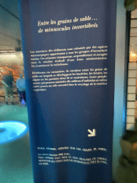 Information on tiny invertebrates at the ground floor of the Grande Galerie de l`Évolution museum