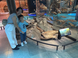 Miaomiao and Max with stuffed fishes at the ground floor of the Grande Galerie de l`Évolution museum