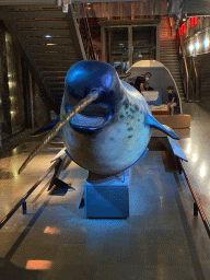 Stuffed Narwhal at the ground floor of the Grande Galerie de l`Évolution museum